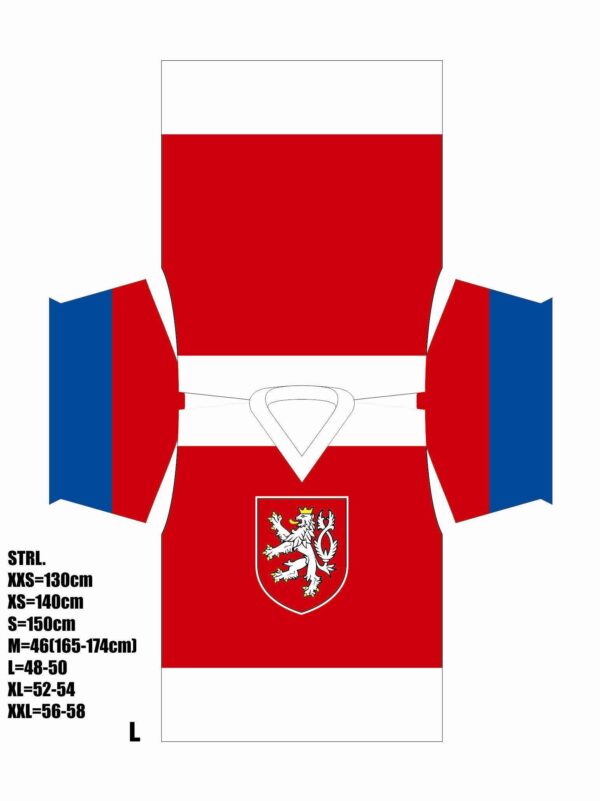 WORLD CUP HOCKEY 2016 Tjeckien - Bild 4